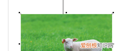 cdr如何删除一部分，cdr怎么把图片中间实心部分去掉