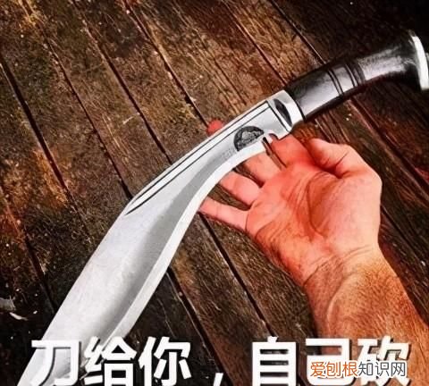 某律师起诉拼多多