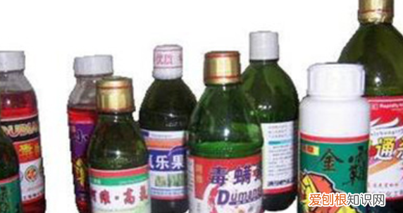 如何驱赶马蜂筑巢，驱赶马蜂用什么杀虫剂