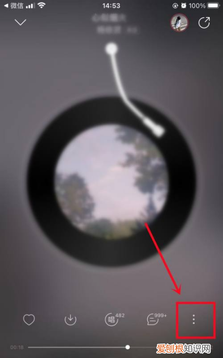 网易云音乐怎么投屏，网易云怎么投屏到电视上听歌苹果