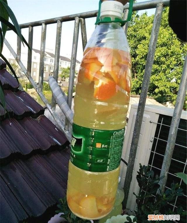 其实淘米水养花也不要随时用