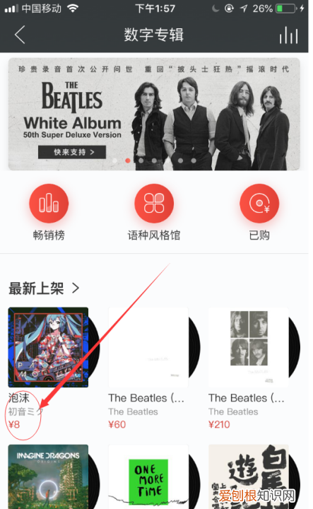 如何在网易云上买单曲，网易云音乐如何购买单首歌曲下载
