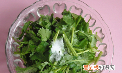 怎样炒香菜好吃窍门，简易腌香菜的做法大全
