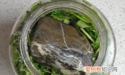 怎样炒香菜好吃窍门，简易腌香菜的做法大全