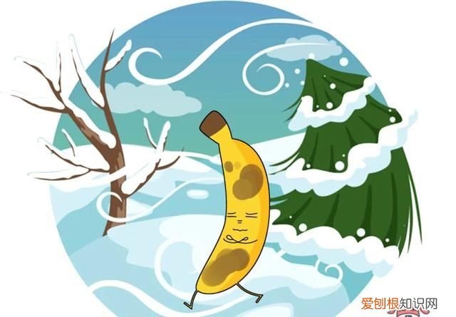 烂水果去了烂的部分还可以吃吗