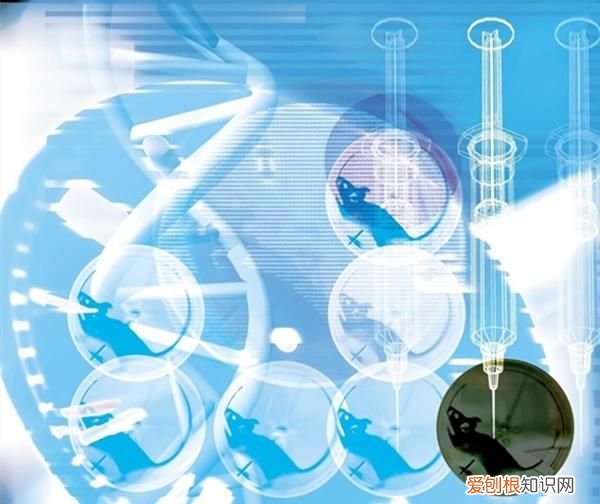 为什么科学家都喜欢拿老鼠做实验 实验室的老鼠为什么是白色的
