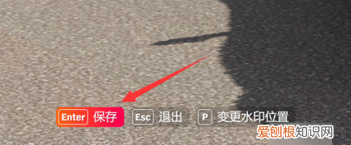 地平线4拍的照片在哪里，极限竞速地平线五手机版下载安装