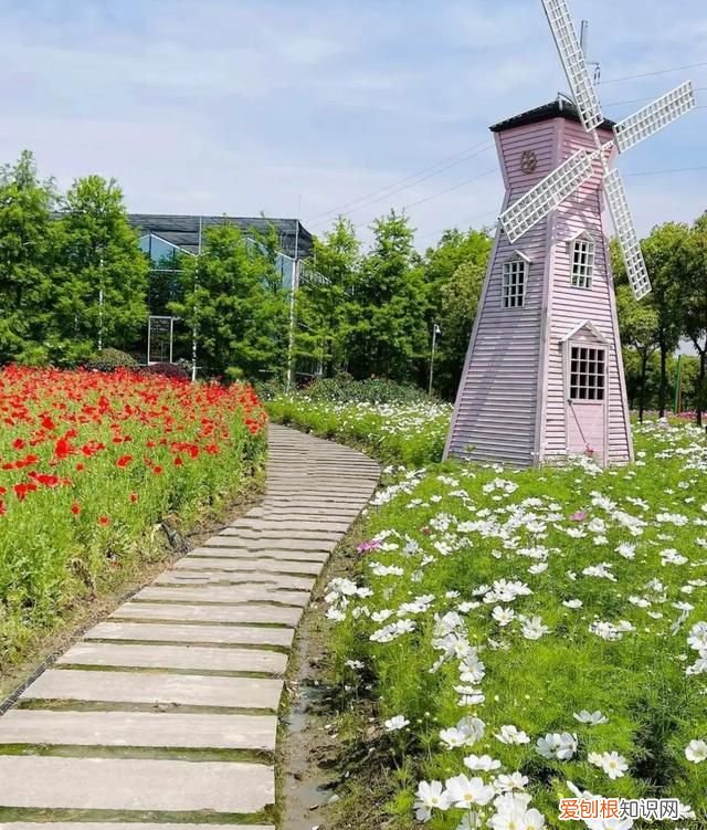 台州路桥附近旅游景点大全 台州路桥周边旅游景点大全