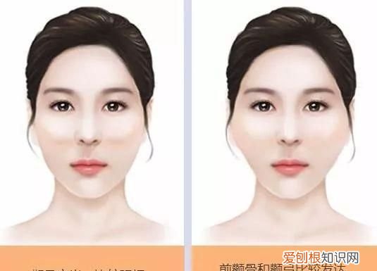 两颧是什么位置,颧骨是在脸上的什么地方