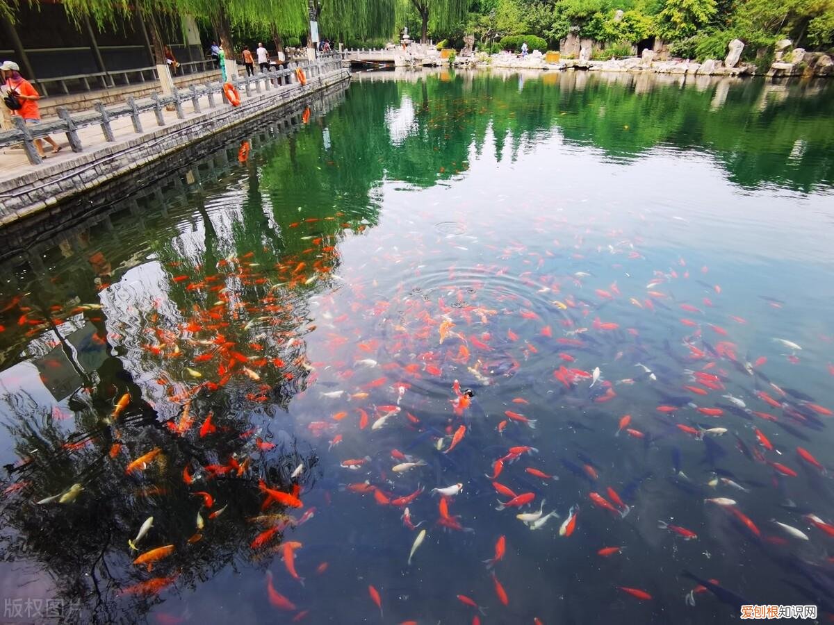 济南有什么好玩的地方景点推荐免费
