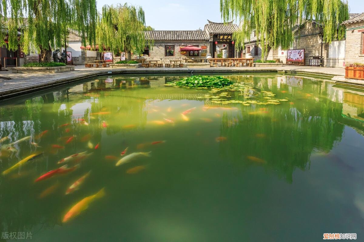 济南有什么好玩的地方景点推荐免费