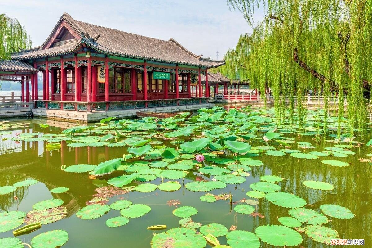 济南有什么好玩的地方景点推荐免费