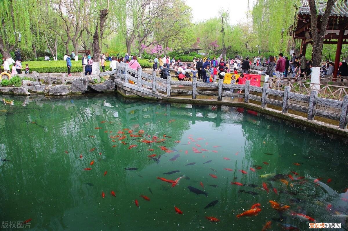 济南有什么好玩的地方景点推荐免费