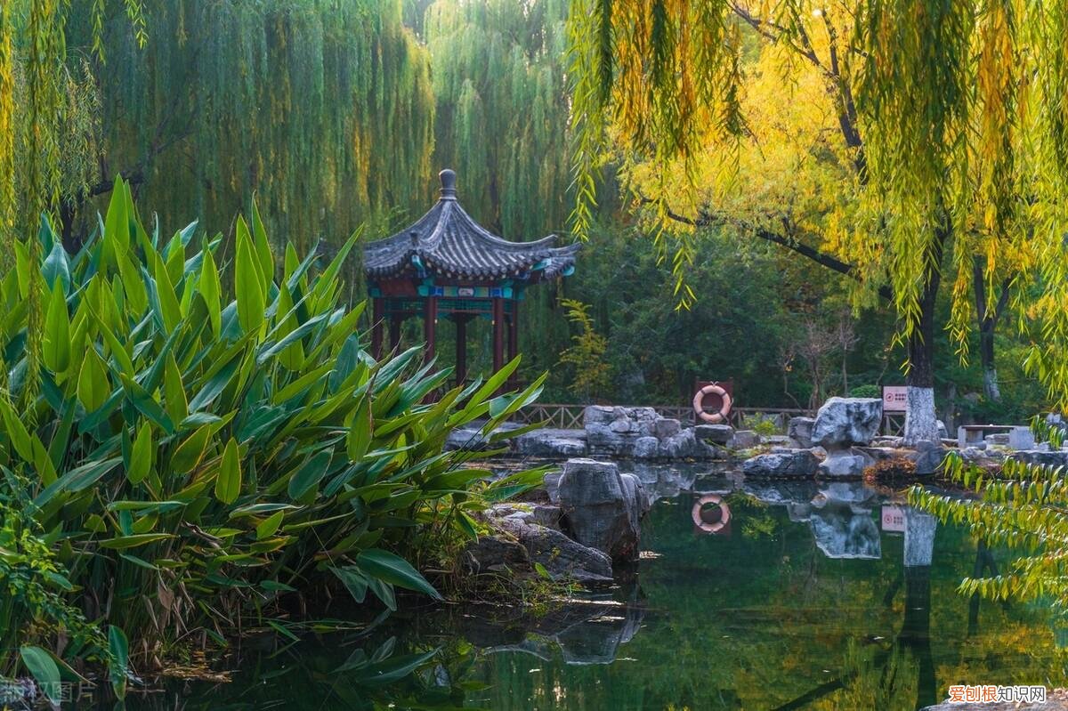 济南有什么好玩的地方景点推荐免费