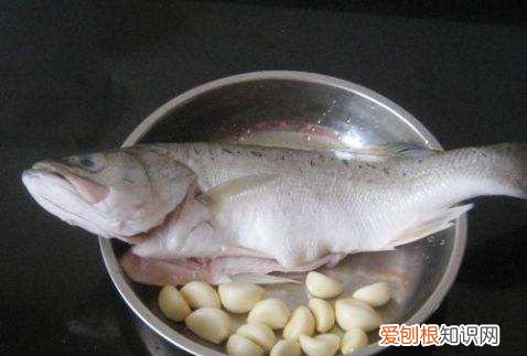 海鲈鱼做法，家常海鲈鱼的做法