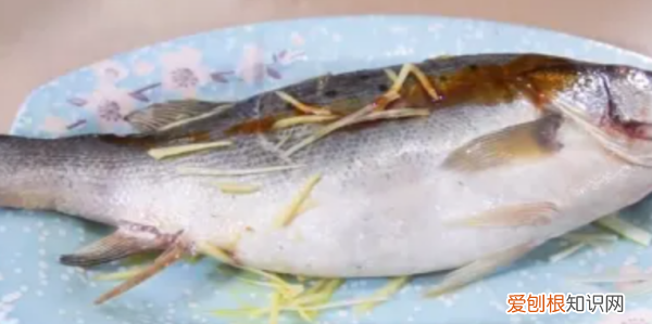海鲈鱼做法，家常海鲈鱼的做法