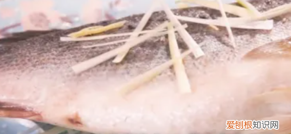 海鲈鱼做法，家常海鲈鱼的做法