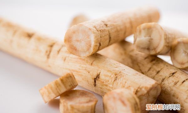 牛蒡根有什么作用与效果