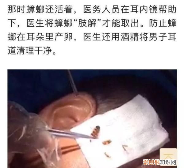 男子三天没睡觉去医院一查崩溃了