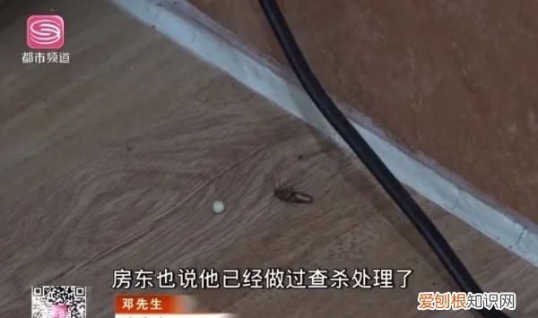 男子三天没睡觉去医院一查崩溃了