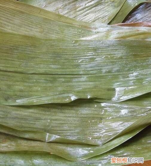 干粽叶是先泡再煮还是直接煮,用干粽叶来包粽子用不用提前煮过