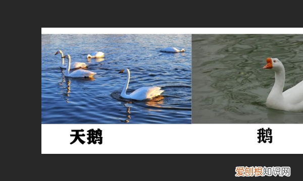 PS应该怎样加粗字体,Photoshop如何处理文字?