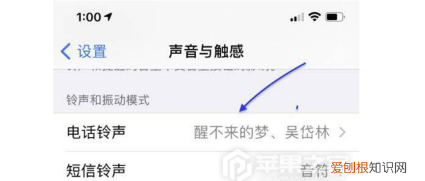 苹果手机应该怎样设置彩铃，苹果怎么设置手机铃声来电铃声