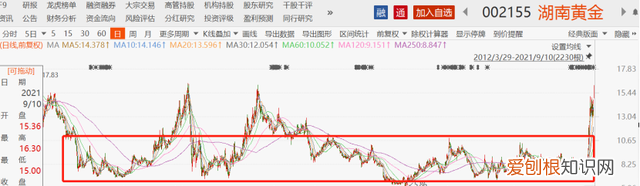 湖南黄金股票今日走势