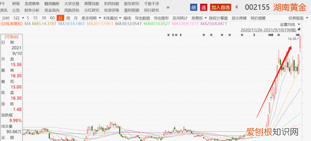 湖南黄金股票今日走势