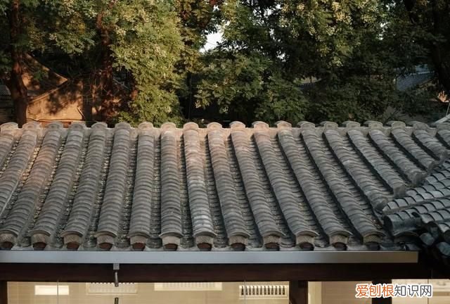 280年皇家古建筑被时尚激活-观夏国子监旗舰店