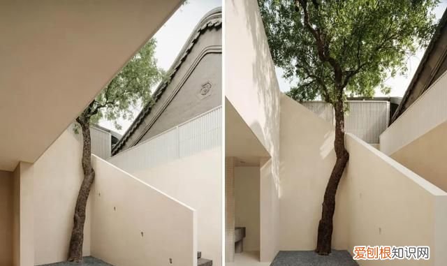 280年皇家古建筑被时尚激活-观夏国子监旗舰店