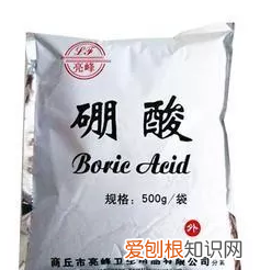 洗衣粉灭蟑螂最有效的方法