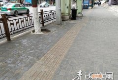晴天树上滴水什么原因