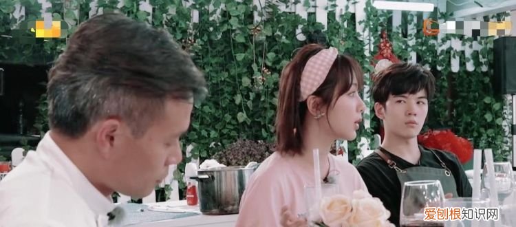 中餐厅杨紫王俊凯是哪一期,中餐厅杨紫王俊凯苏有朋哪一集