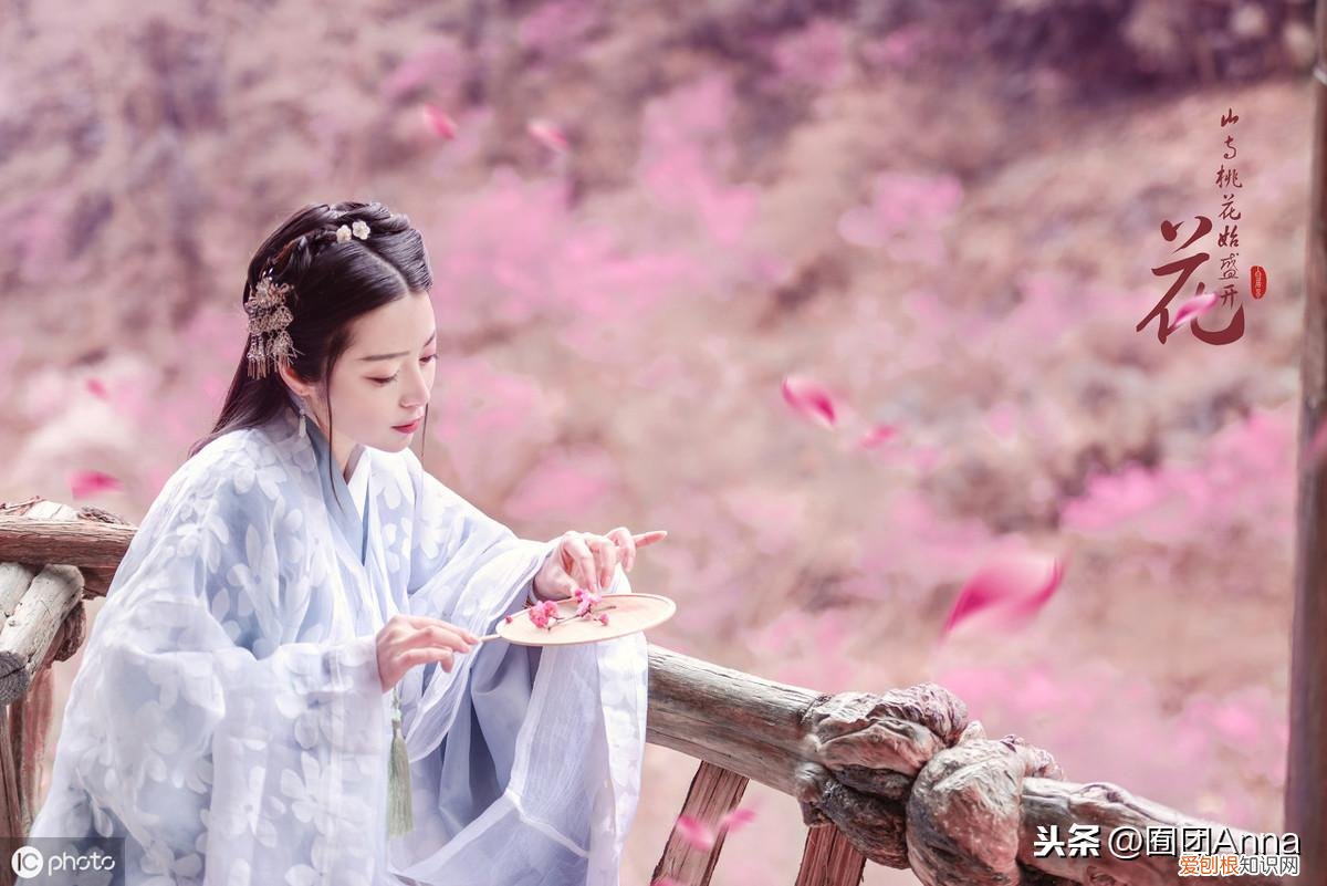 皎皎媚生香免费阅读，太子殿下&罪臣之女，作者竟然怎么写）