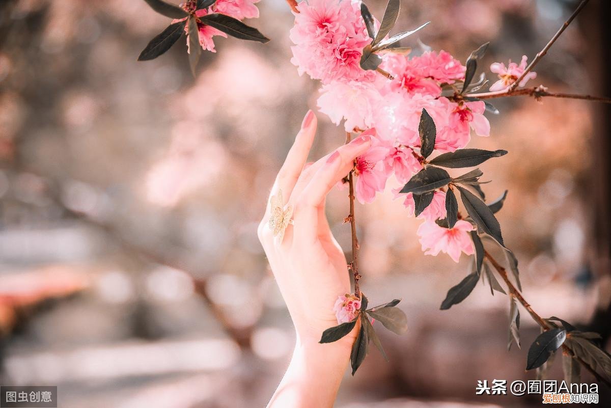 皎皎媚生香免费阅读，太子殿下&罪臣之女，作者竟然怎么写）