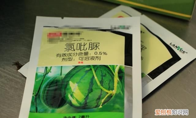 西瓜为什么有红瓤黄瓤 白籽红瓤的西瓜能不能吃
