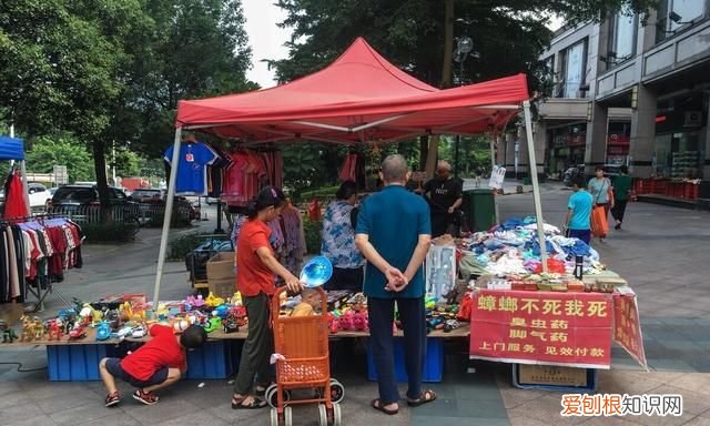 家里有蟑螂不用愁用这招轻松消灭