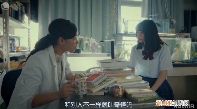 夹子音真恶心