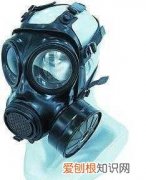 人民从哪些动物身上得到启示发明了防毒面具
