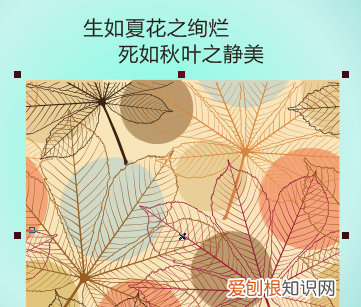cdr裁剪工具如何用，cdr怎么裁剪掉多余的部分