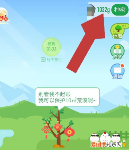 蚂蚁森林怎样浇水，蚂蚁森林怎么给树浇水