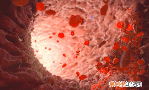 秋冬泡温泉好处多,但有些人不一定适合泡澡