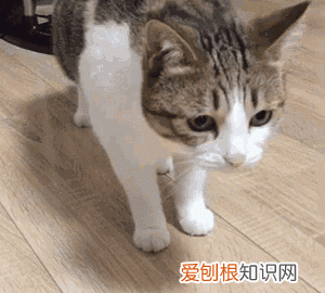 秋冬泡温泉好处多,但有些人不一定适合泡澡