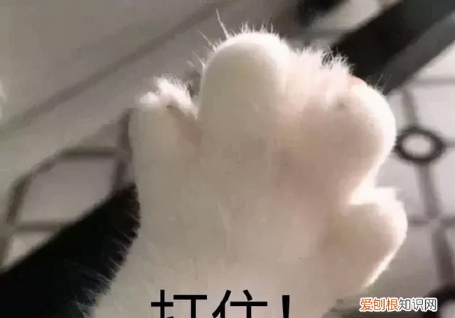 秋冬泡温泉好处多,但有些人不一定适合泡澡