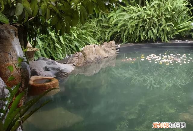 秋冬泡温泉好处多,但有些人不一定适合泡澡