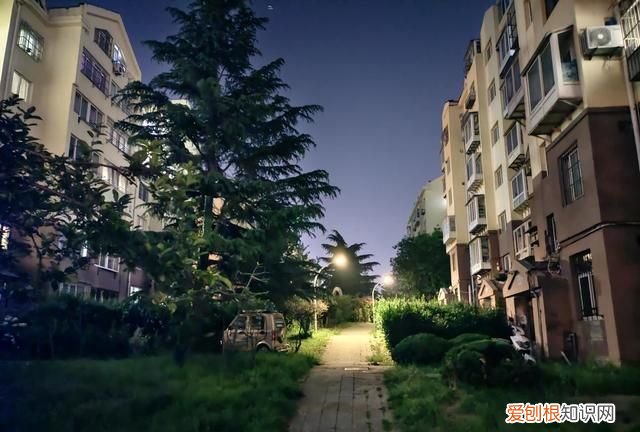 iqoo neo 5性能铁三角