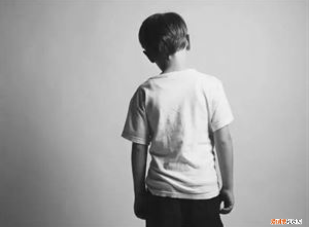 我们家的男子汉