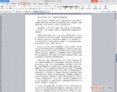 wps怎么查看字数，WPS中pdf统计字数在哪里