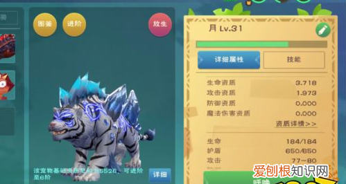 创造与魔法初始攻击怎么算，创造与魔法酷酷狗6阶满级攻击多少